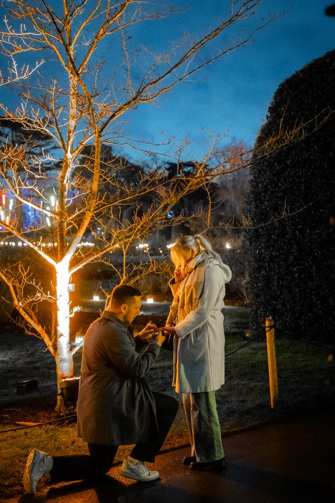 Proposal under glowing trees at night